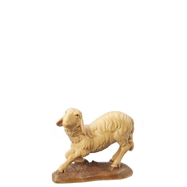 kniendes Schaf kniendes Schaf