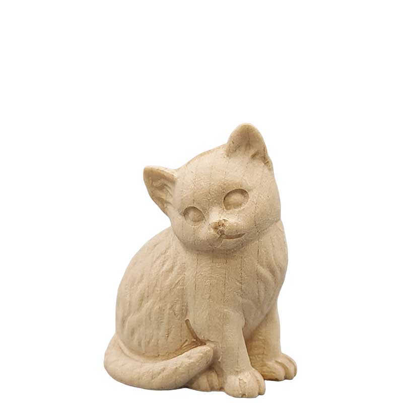 Katzenjunge links