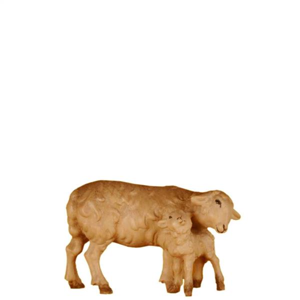 Schaf mit Lamm stehend