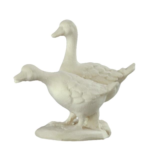 Gänsegruppe Gänsegruppe