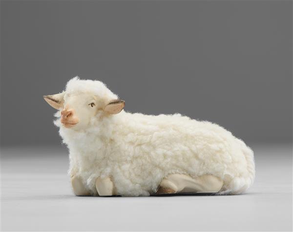 Schaf liegend mit Wolle