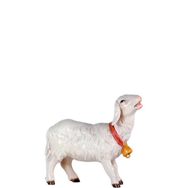 Schaf mit Glocke Schaf mit Glocke