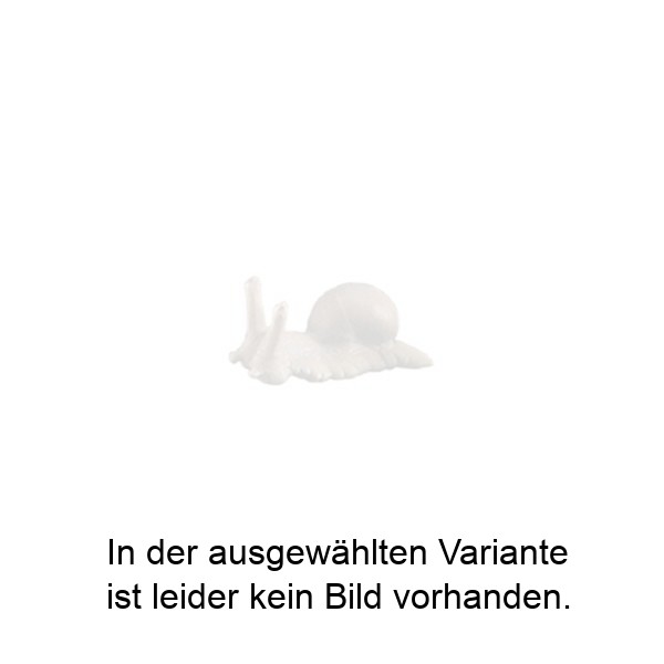 Grosse Schnecke Grosse Schnecke