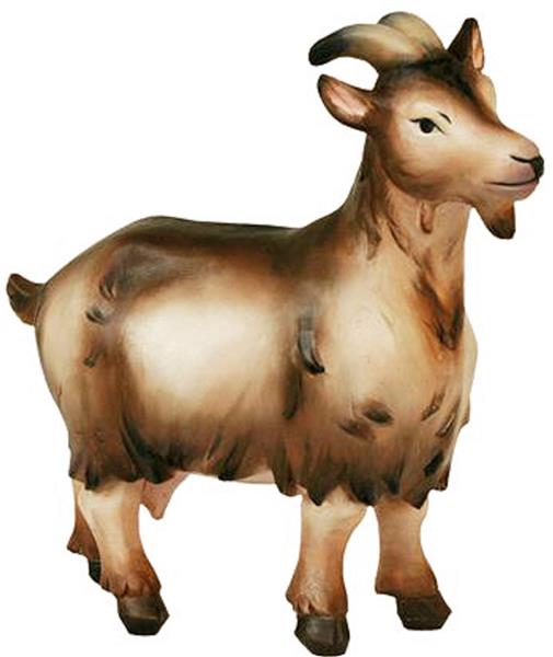 Ziege Ziege