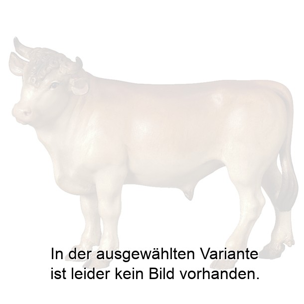 Ochs stehend