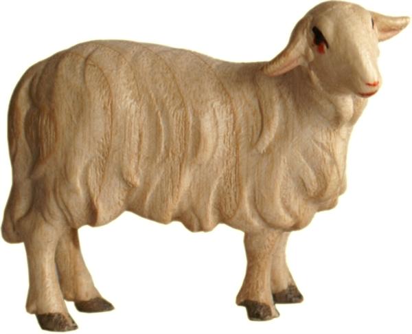 Schaf stehend links Schaf stehend links