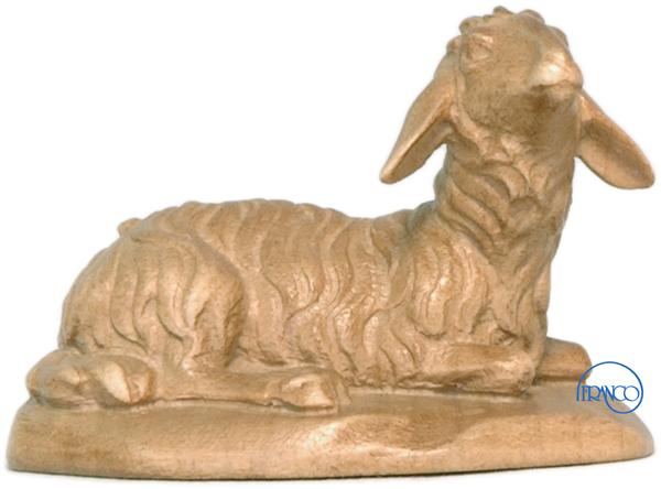 Schaf liegend Schaf liegend