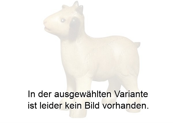 Zicklein