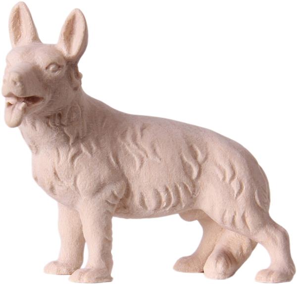 Schäferhund Schäferhund