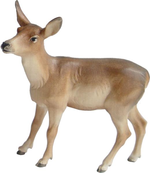 Hirschkuh Hirschkuh
