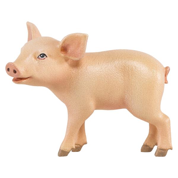RA Ferkel RA Ferkel