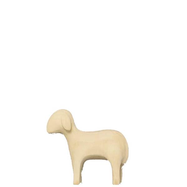 Schaf stehend Schaf stehend