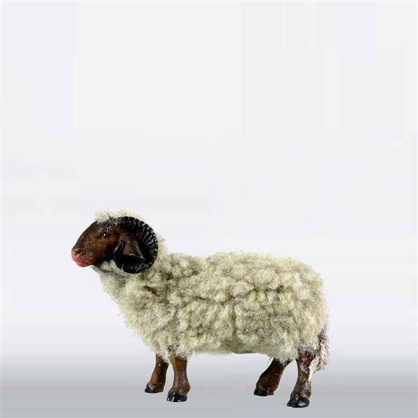 Schafbock mit Wolle grau
