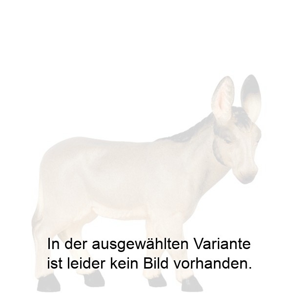 Esel