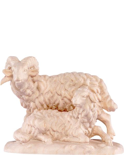 Widdergruppe Widdergruppe