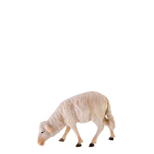 Schaf fressend Schaf fressend