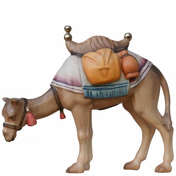 Kamel fressend Kamel fressend