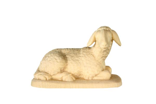 Schaf liegend Schaf liegend