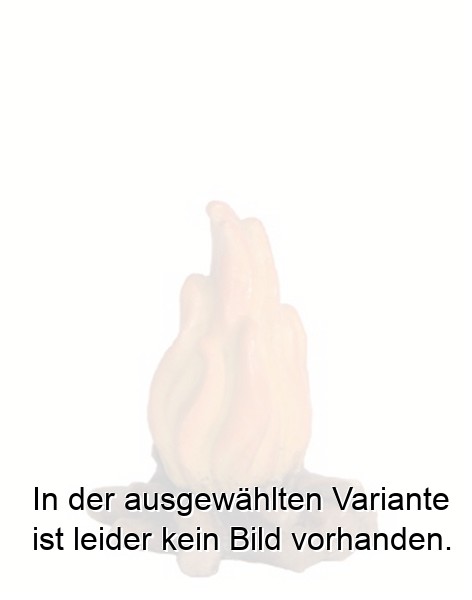 Lagerfeuer Lagerfeuer