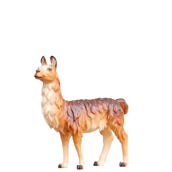 Lama