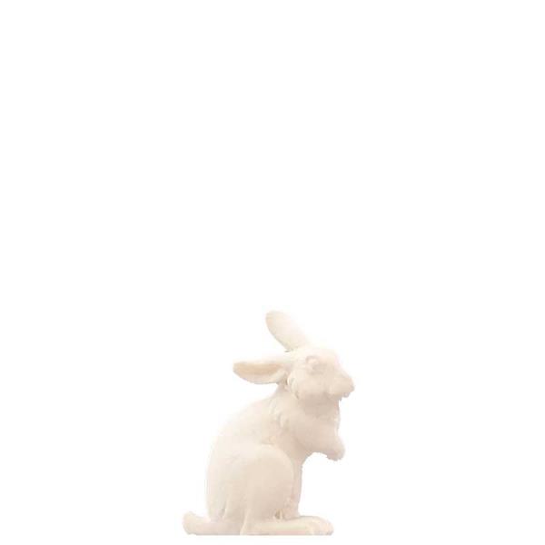 Hase Pfoten hoch Hase Pfoten hoch