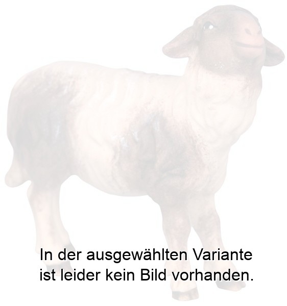 Schaf mit schwarzen Flecken Schaf mit schwarzen Flecken