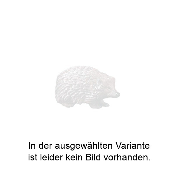 Igel nach unten schauend