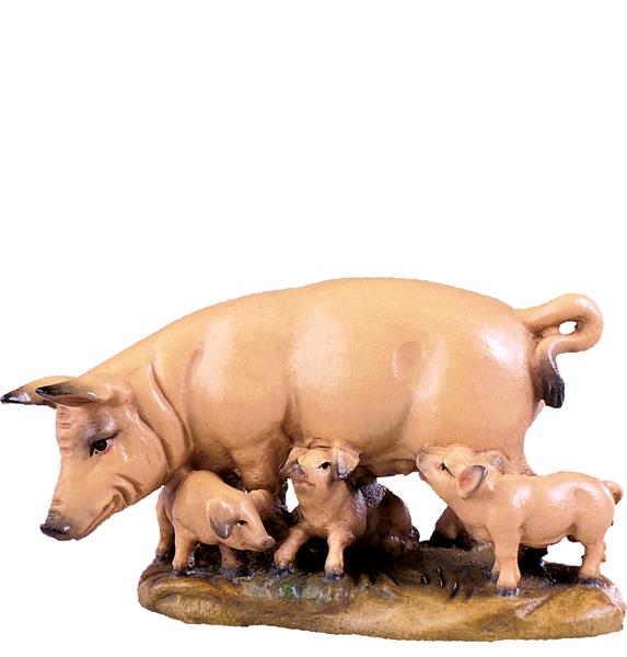 Schweinegruppe Schweinegruppe