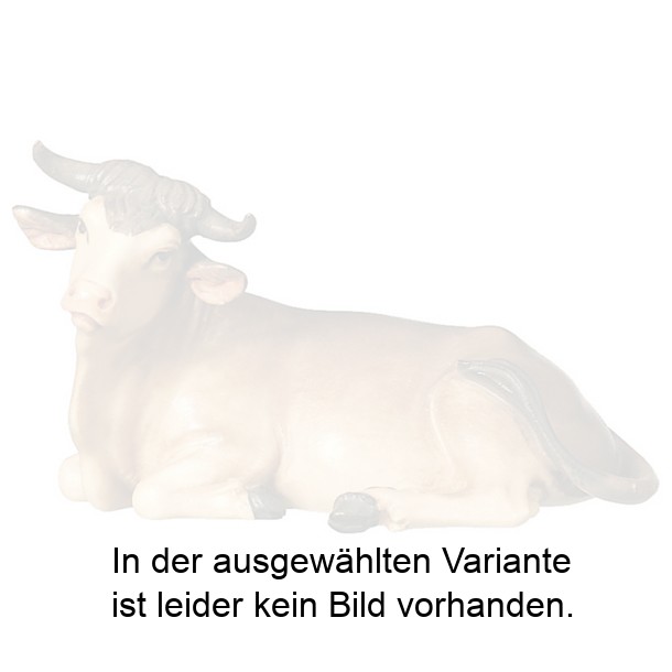 Ochs liegend