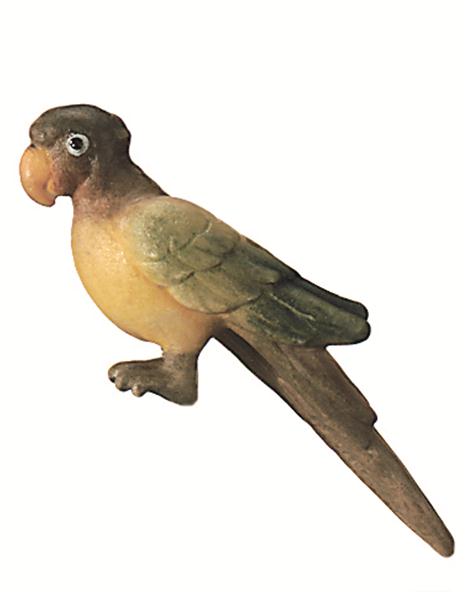 Papagei