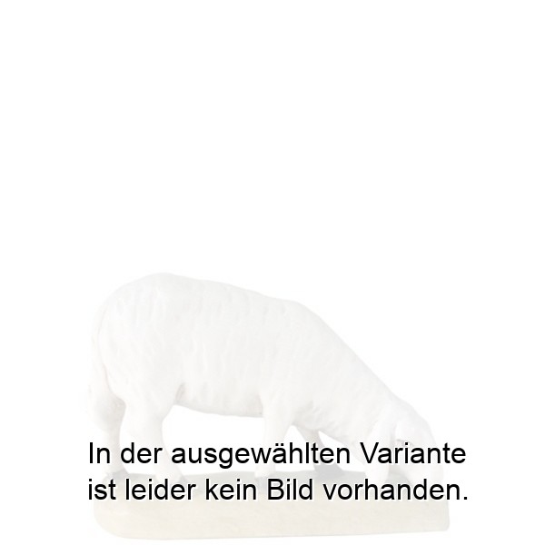 Schaf Fressend rechts