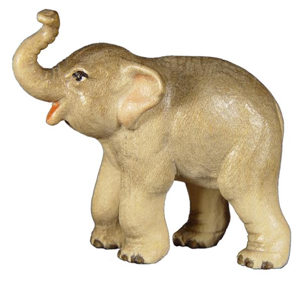 Junger Elefant Junger Elefant