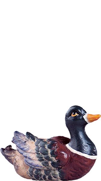 Ente grün Ente grün