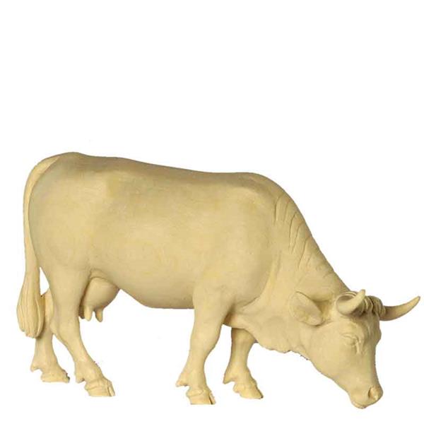 Kuh grasend grau Kuh grasend grau