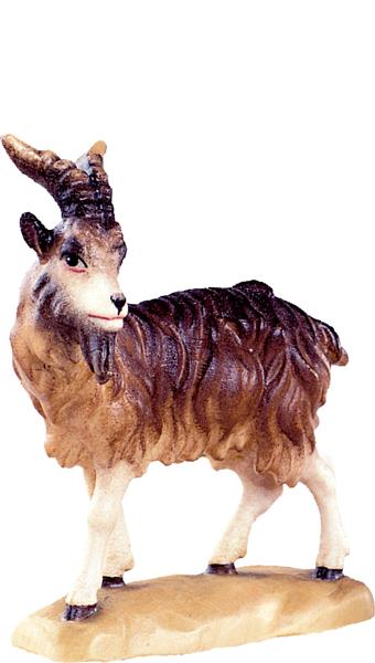 Ziegenbock Ziegenbock