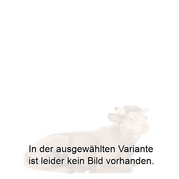 Ochs liegend Ochs liegend