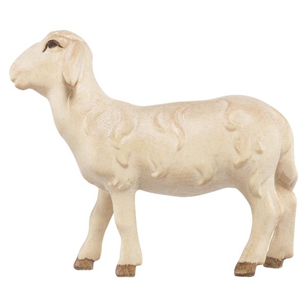Schaf stehend