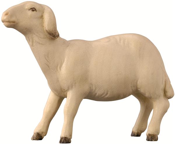 Schaf modern schauend Schaf modern schauend