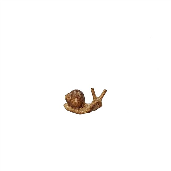 Kleine Schnecke