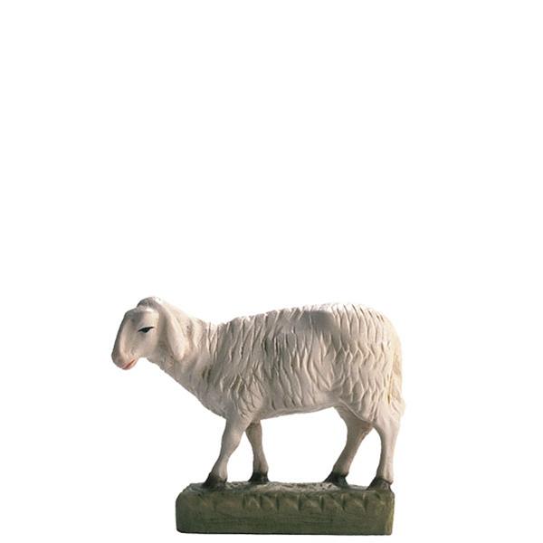 Schaf Stehend