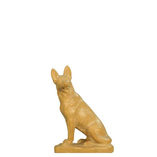 Sitzender Schäferhund Sitzender Schäferhund
