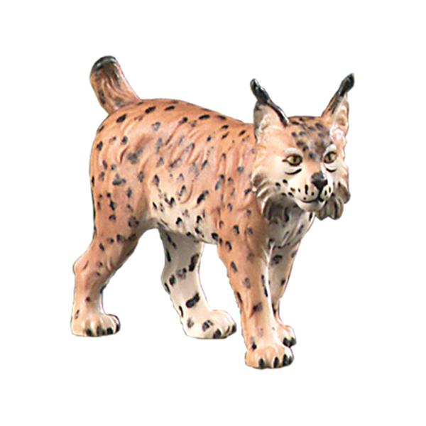 Luchs Luchs