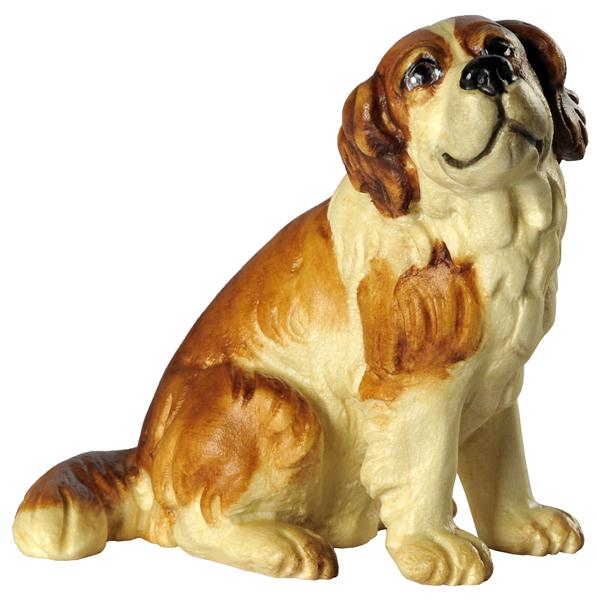 Bernhardiner sitzend Bernhardiner sitzend