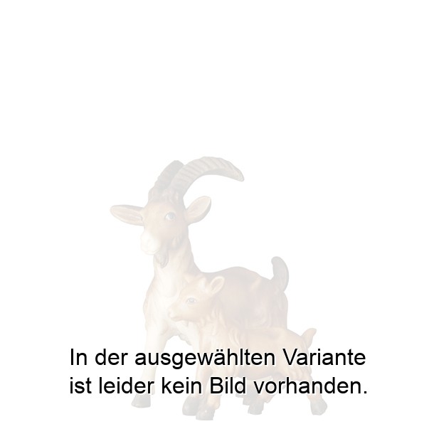 Ziege mit Kitz Ziege mit Kitz