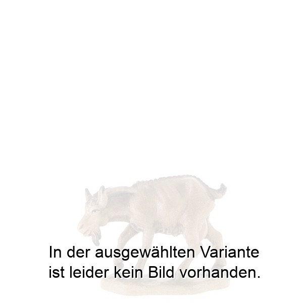 Ziege mit gesenktem Kopf Ziege mit gesenktem Kopf