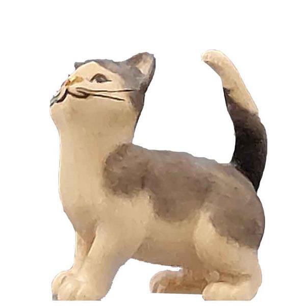 Katze stehend grau-weiß Katze stehend grau-weiß