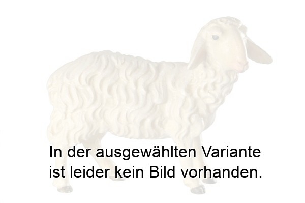 Schaf stehend Schaf stehend