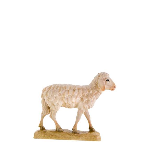Schaf stehend Schaf stehend