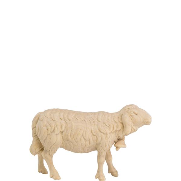 Schaf vorwärts schauend mit Glocke Schaf vorwärts schauend mit Glocke