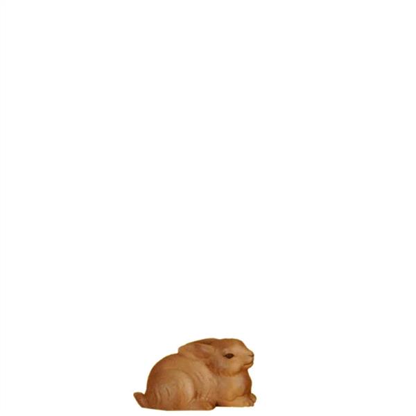 Hase